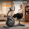 OWLSKY Recumbent Exercise Bike for Home Gym, Magnetic Stationary Bike with 16-Level Resistance, Quiet 15LBS Flywheel, 300LBS Capacity, Low-Impact Cardio & Physical Therapy(Black)